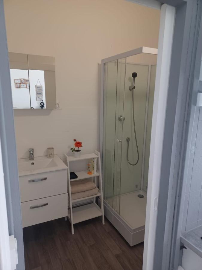 Le Carnot Proche Gare Et Iut Chez Adrien Apartment แซ็ง-ก็องแต็ง ภายนอก รูปภาพ